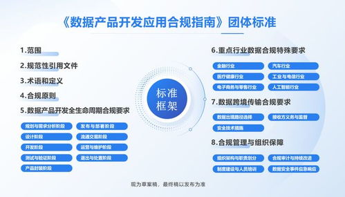 全國(guó)首部數(shù)據(jù)產(chǎn)品開(kāi)發(fā)應(yīng)用合規(guī)標(biāo)準(zhǔn)即將出臺(tái)，信息技術(shù)咨詢服務(wù)助力企業(yè)合規(guī)轉(zhuǎn)型