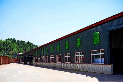 四川建園建材公司 園林式磚廠，顛覆傳統(tǒng)建材行業(yè)